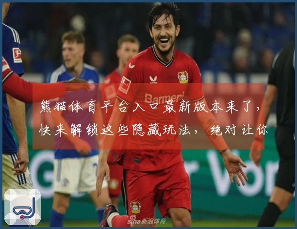 熊猫体育平台入口最新版本来了，快来解锁这些隐藏玩法，绝对让你惊呼！