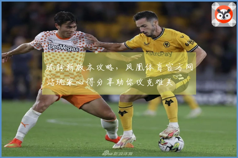 玩转新版本攻略，凤凰体育官方网站玩家心得分享助你攻克难关