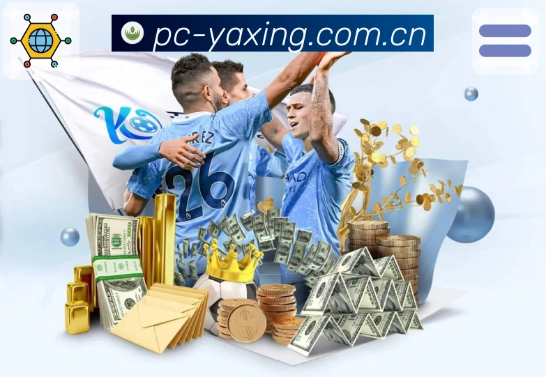 亚星官网运营支持